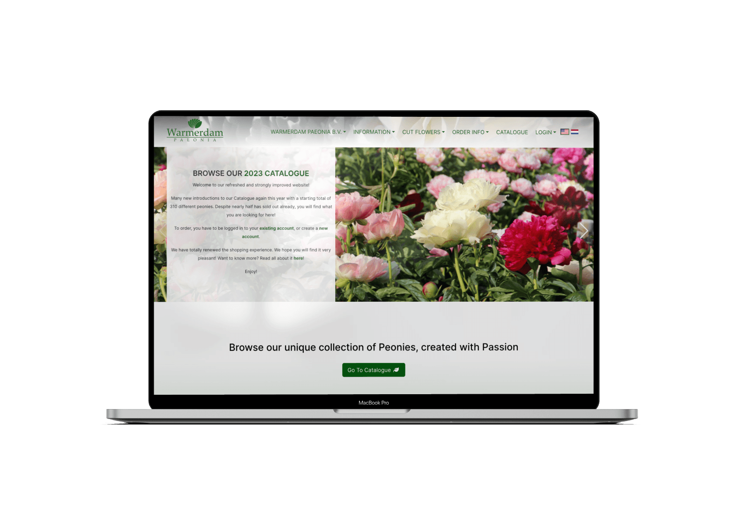 websiteImg