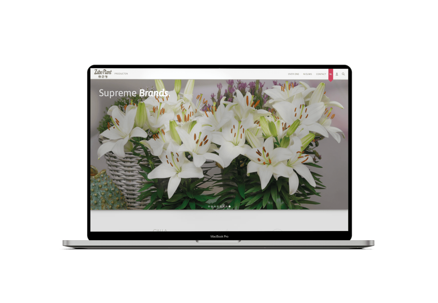 websiteImg