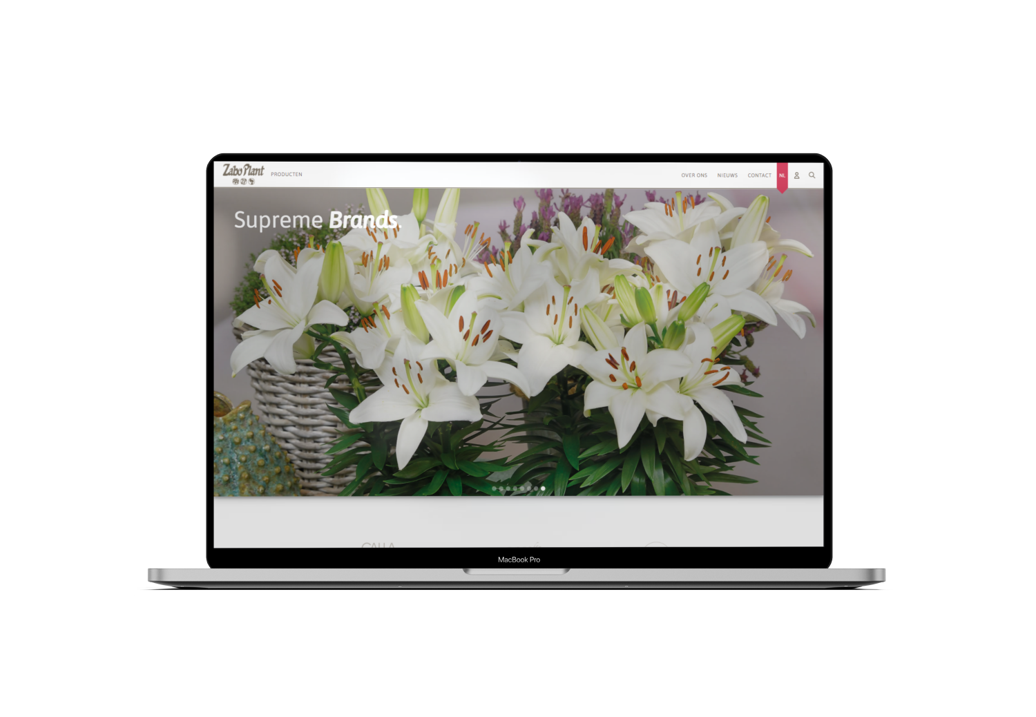 websiteImg