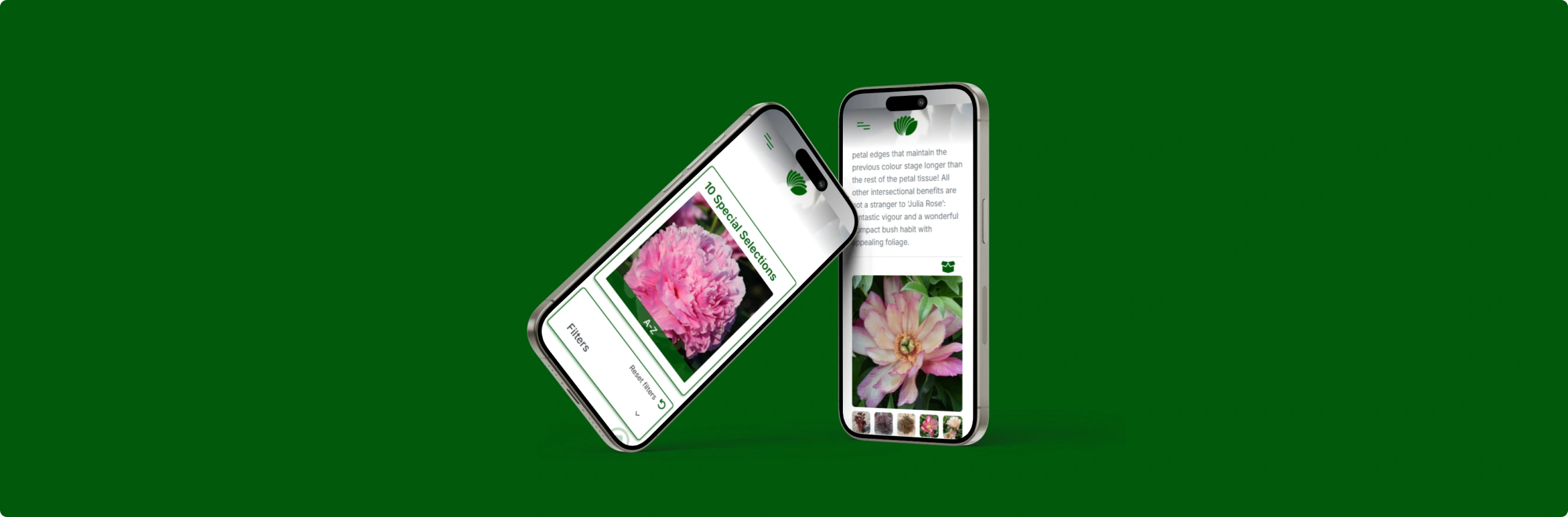 Paeonia Passion website